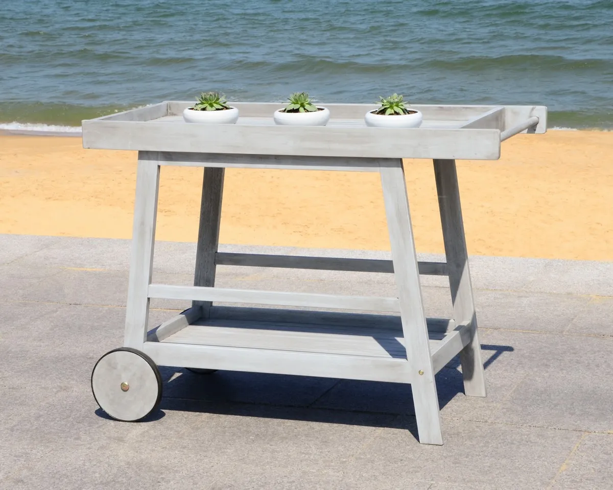 Renzo Indoor/Outdoor Bar Cart