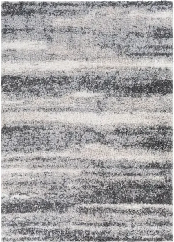 Lyra Shag 2' x 3' Rug