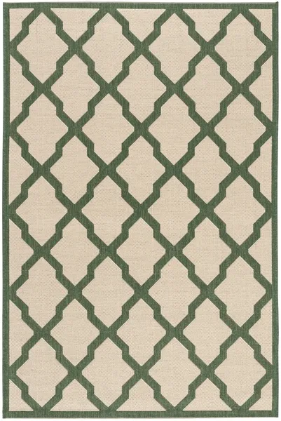 Safavieh BEACH HOUSE Collection BHS122W-9 Cream / Green 9' X 12'