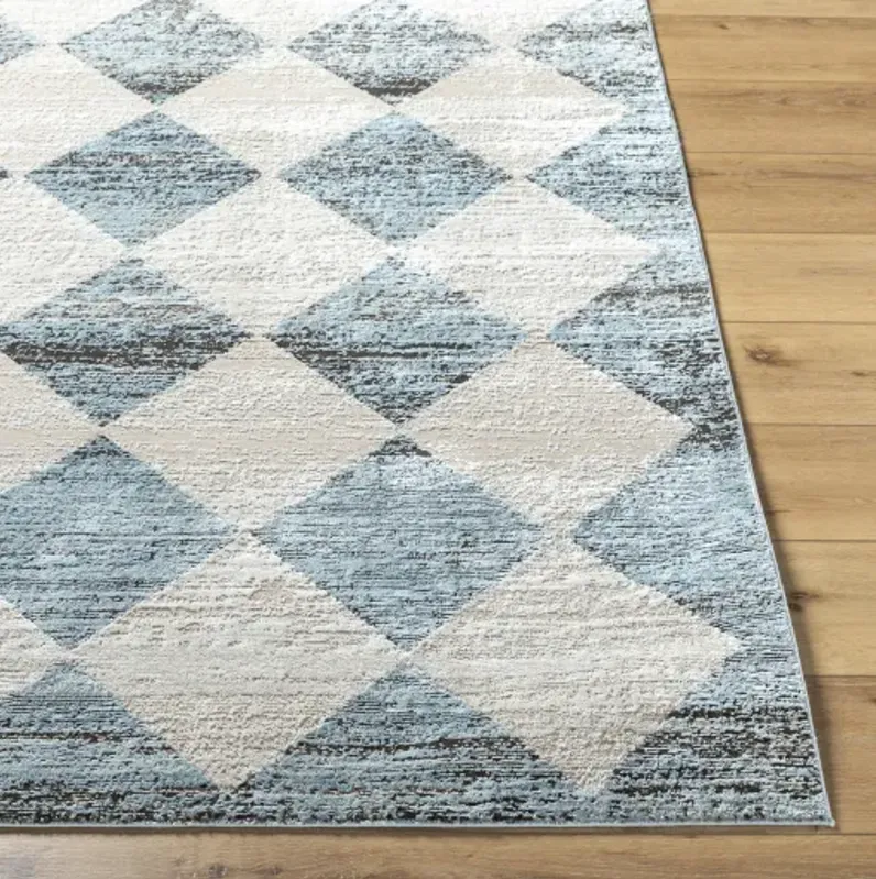 Allegro ALG-2349 7'10" x 10' Machine Woven Rug