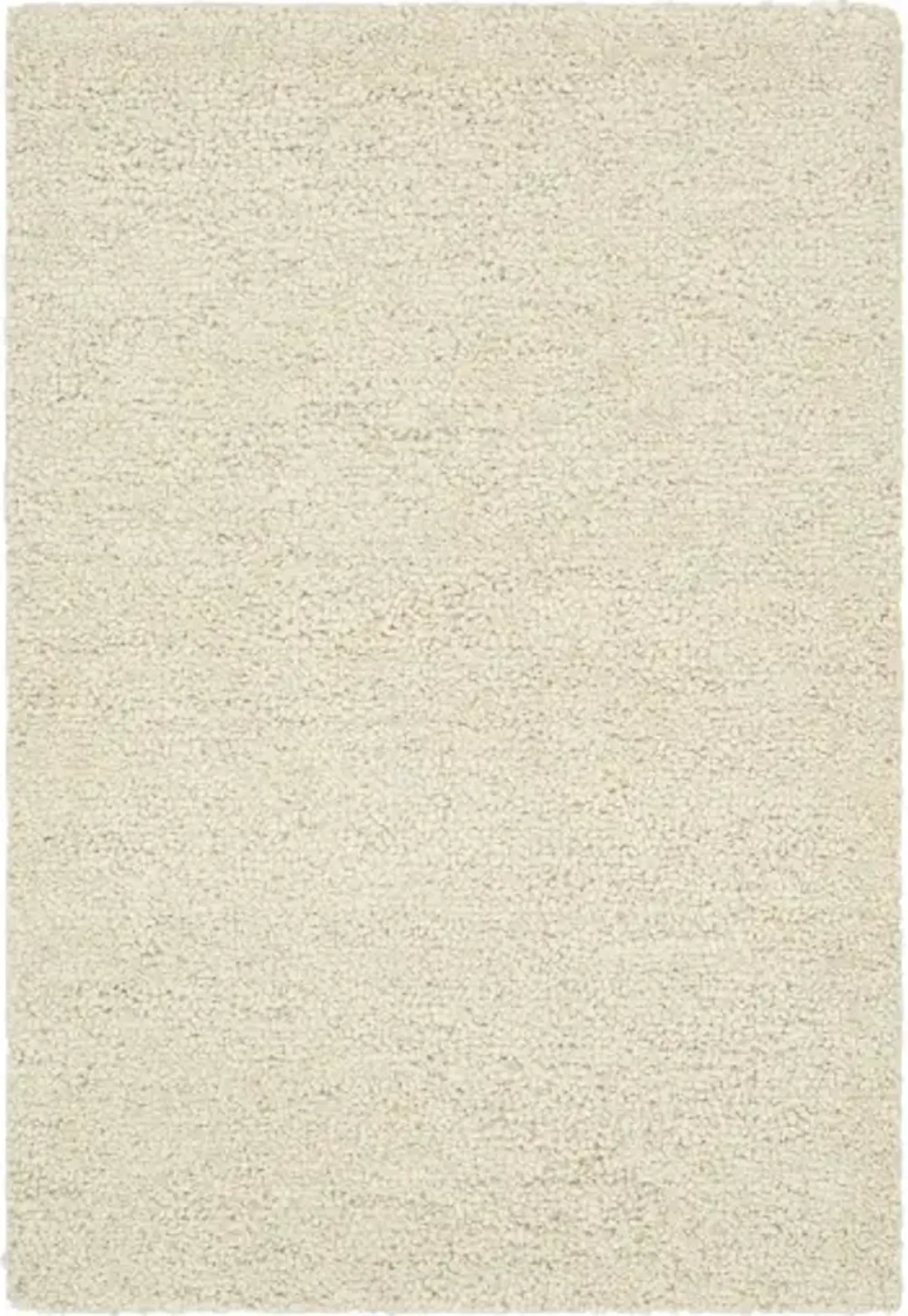 Desire DSE-2303 2' x 3' Hand Made Rug