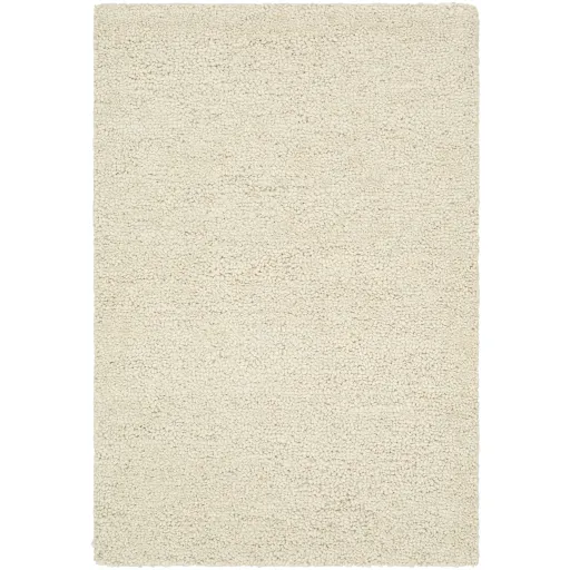 Desire DSE-2303 2' x 3' Hand Made Rug