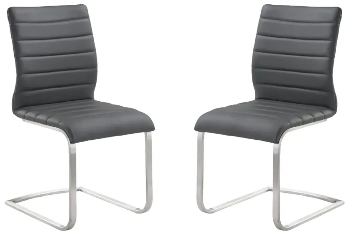 Fusion Contemporary Side Chair In Gray and Stainless Steel - Set of 2