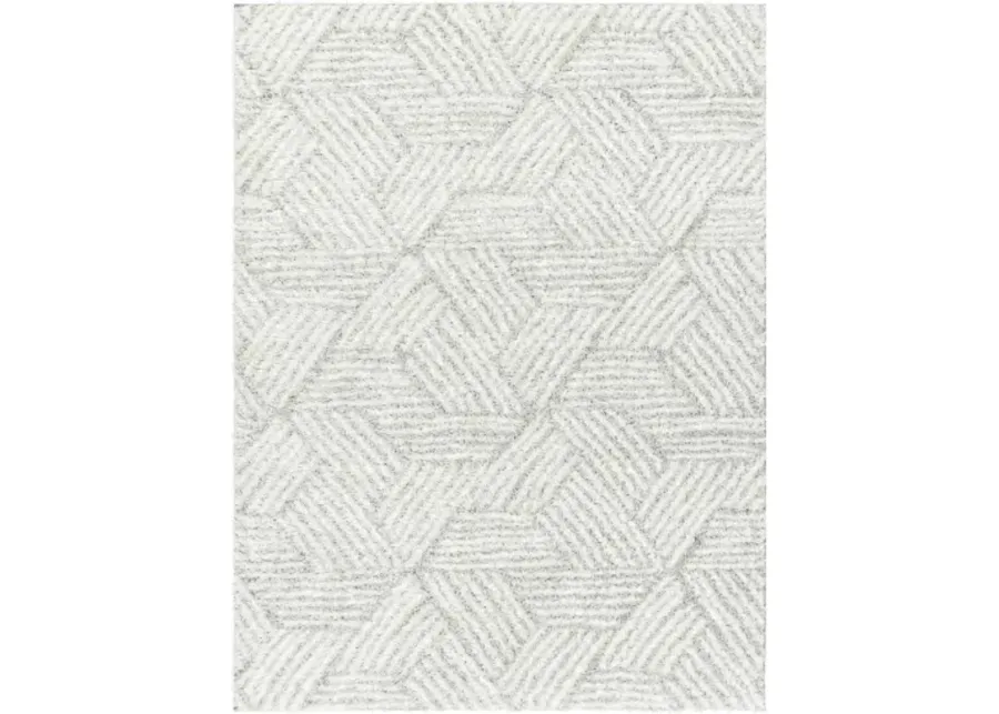 Cloudy Shag CDG-2320 7'10" x 10' Machine Woven Rug