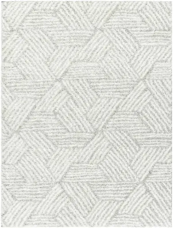 Cloudy Shag CDG-2320 7'10" x 10' Machine Woven Rug