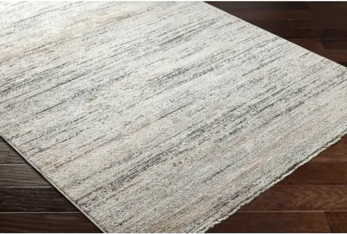 Rojin ROJ-2300 9' x 13'1" Machine Woven Rug