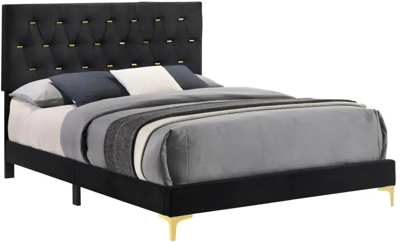 Kendall Tufted Panel California King Bed Black and Gold