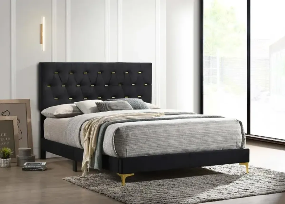 Kendall Tufted Panel California King Bed Black and Gold