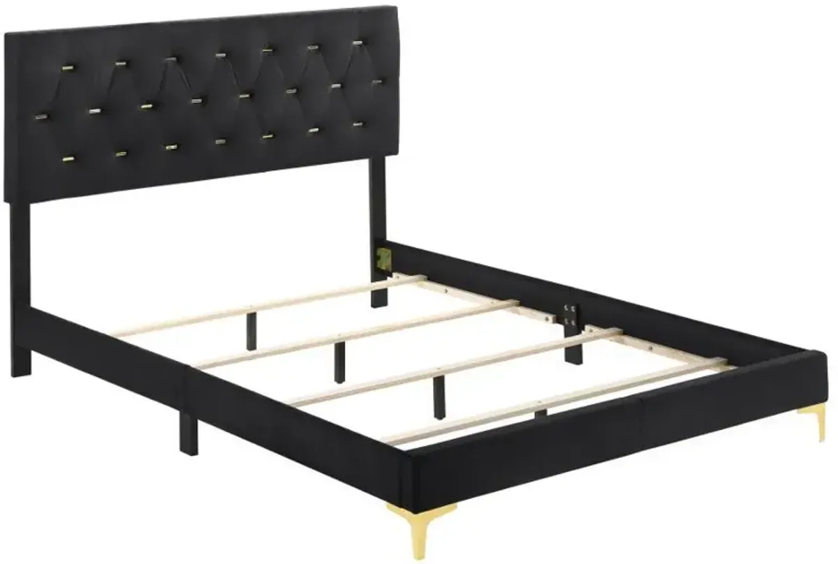 Kendall Tufted Panel California King Bed Black and Gold