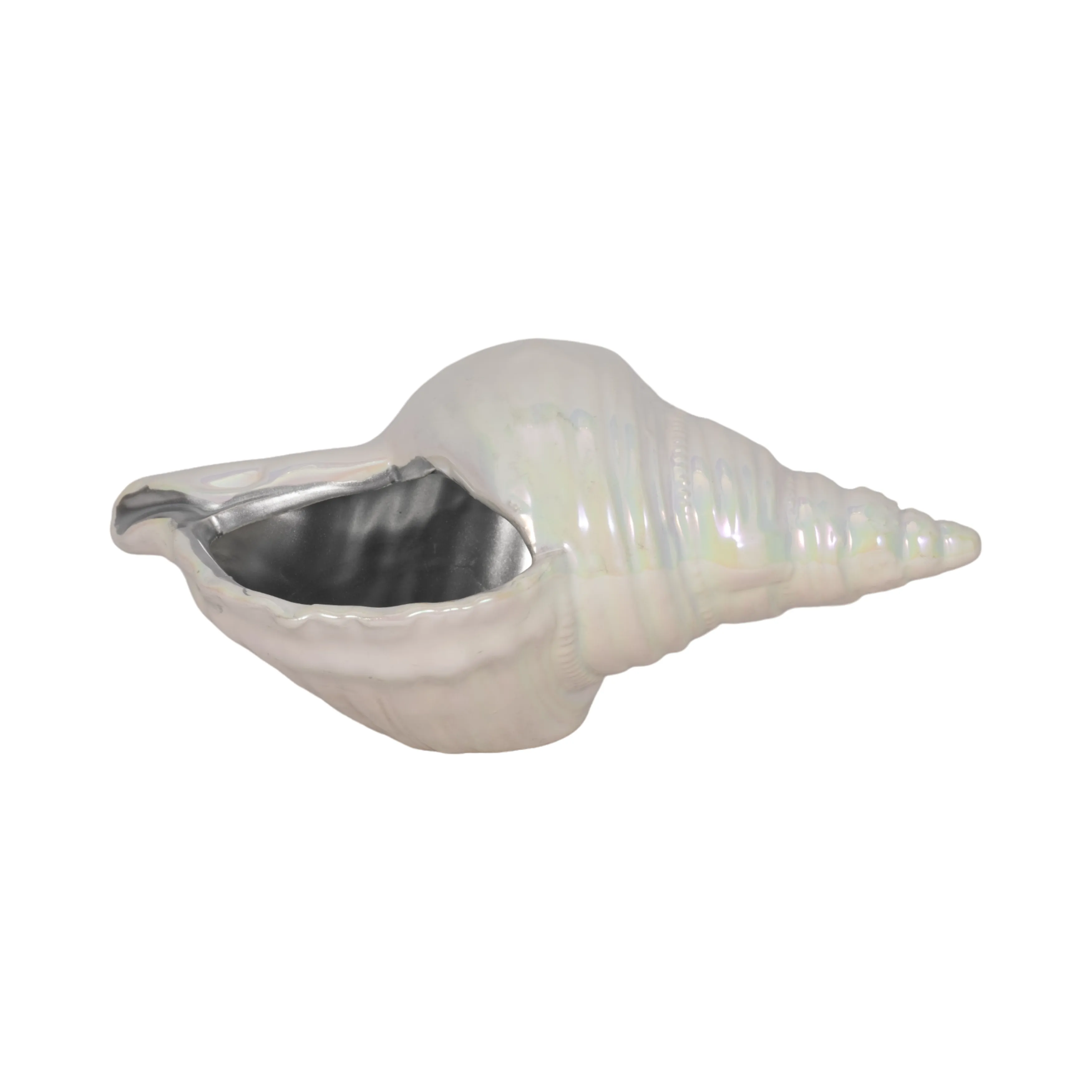 8" Iridescent Seashell With Silver, Ivory/silver