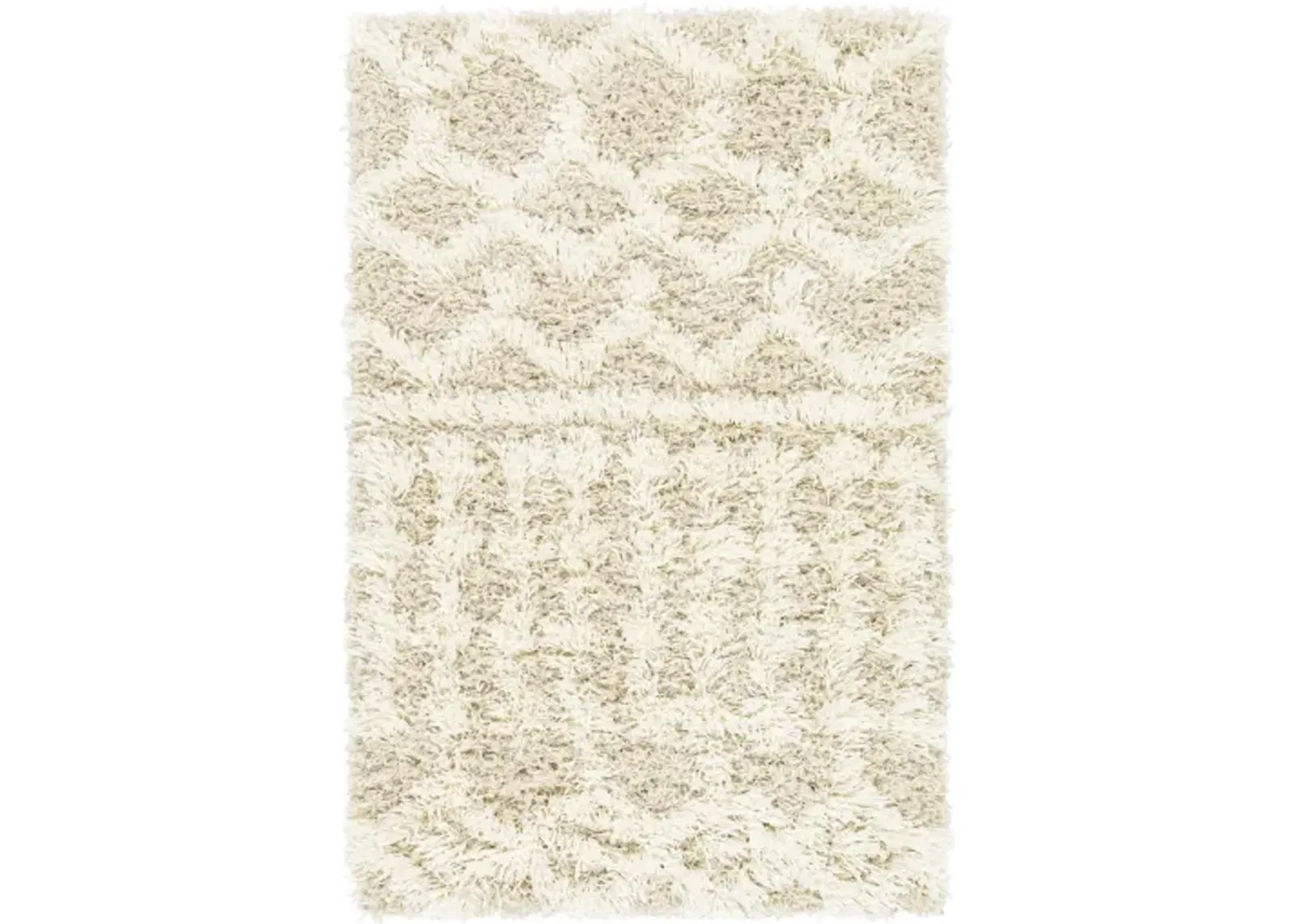 Urban Shag 2'7" x 7'3" Rug