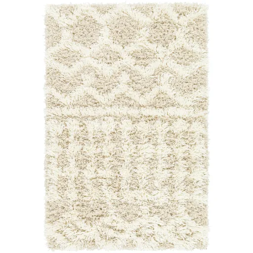 Urban Shag 2'7" x 7'3" Rug