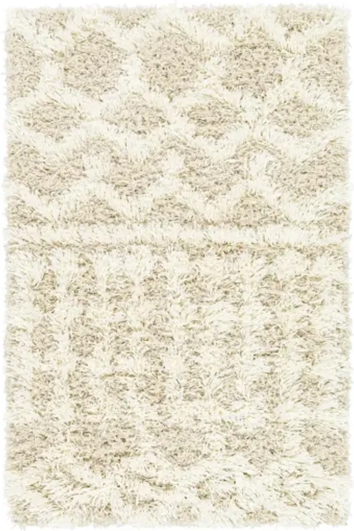 Urban Shag 2'7" x 7'3" Rug