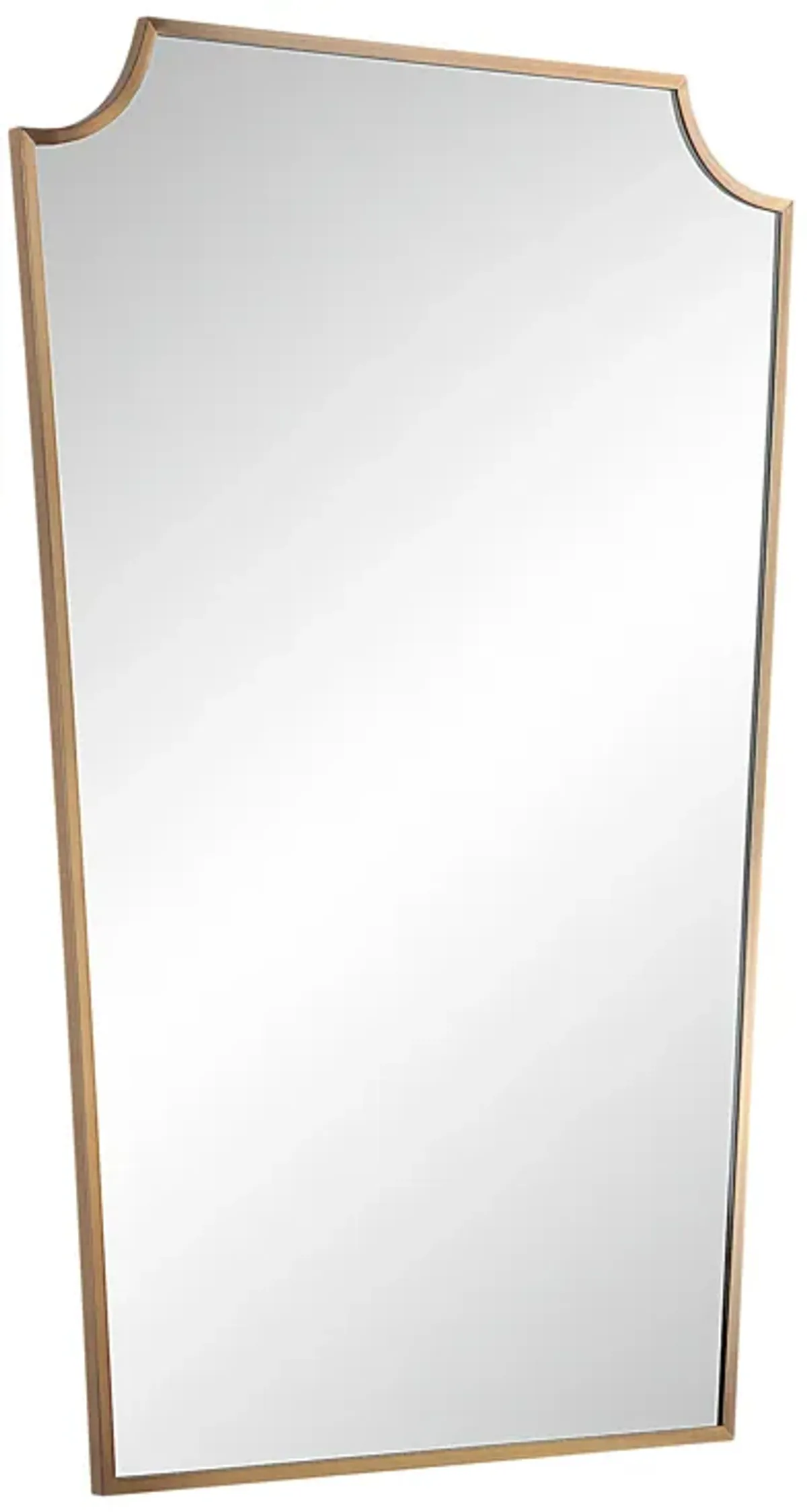 Brigid 36" Tall Rectangular Mirror, Burnished Brass