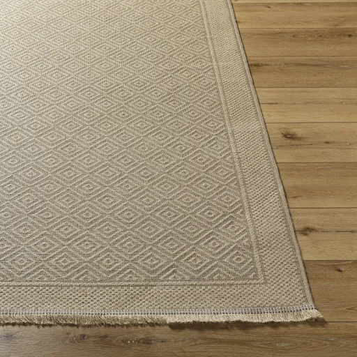 Mystery MYS-2300 27" x 45" Machine Woven Rug