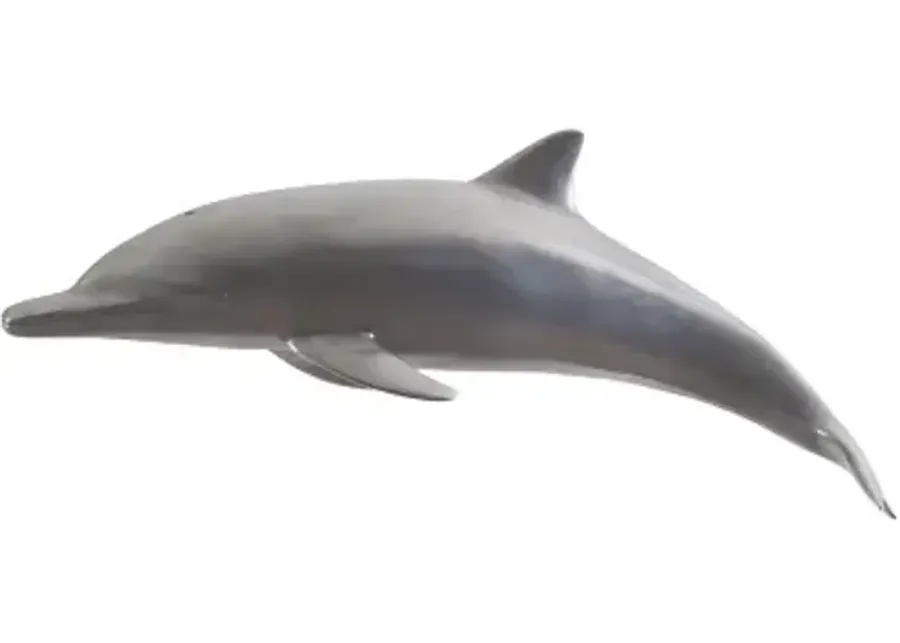 dolphin, polished aluminum