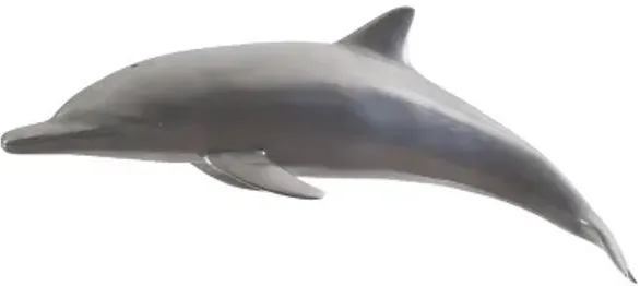 dolphin, polished aluminum