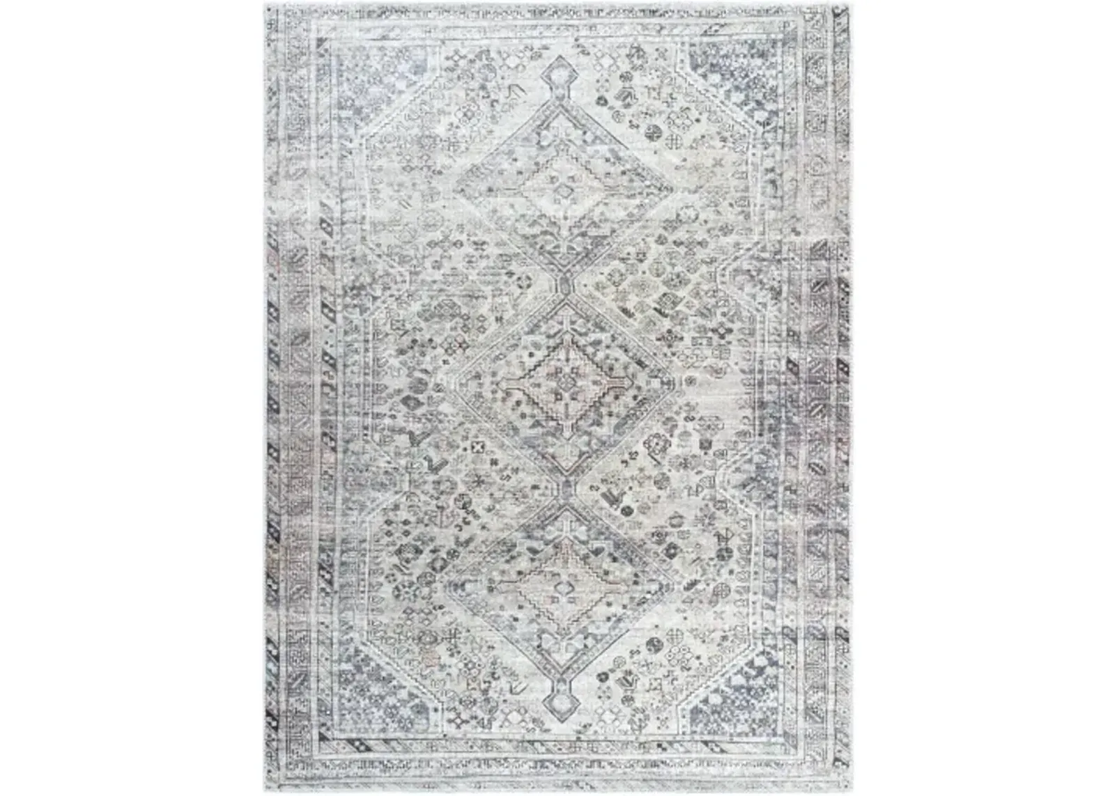 Eleni VVEL-2301 8'10" x 12' Machine Woven Rug