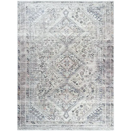 Eleni VVEL-2301 8'10" x 12' Machine Woven Rug