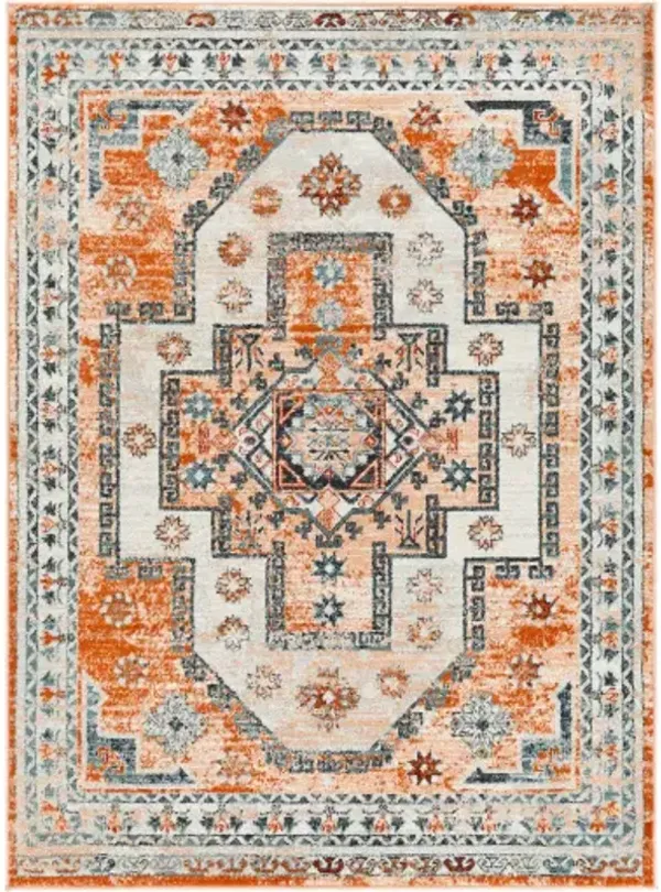 Tevazu 5'3" x 7' Rug