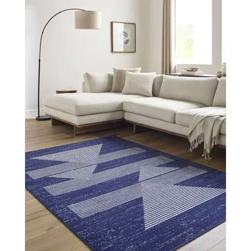 Pisa PSS-2377 6'7" x 9' Machine Woven Rug