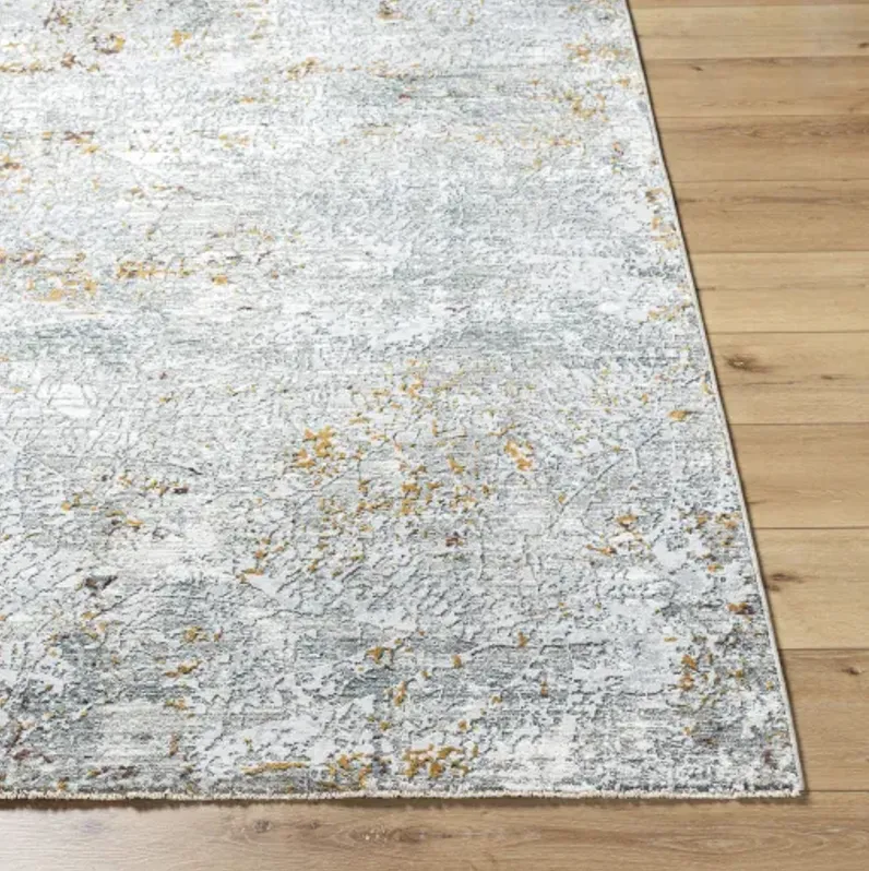 Dresden DRE-2314 5' x 7'5" Machine Woven Rug