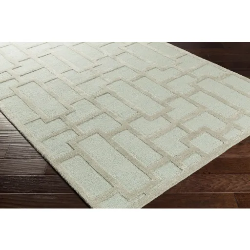 Arise AWRS-2139 2'3" x 12' Rug