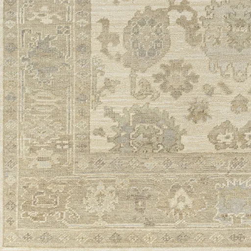 Antalya AAT-2304 2' x 3' Handmade Rug