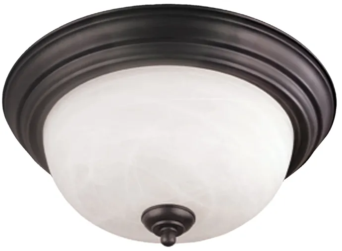 Tahoe 14" Wide 2-Light Flush Mount - Painted Bronze