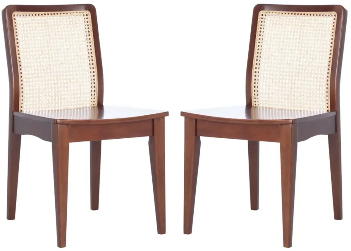 BENICIO RATTAN DINING CHAIR  - Set of 2