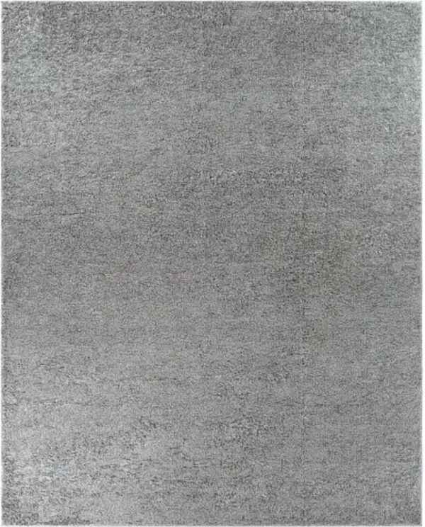 Bliss shag 6'7" x 9' Rug