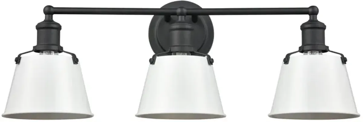 Holgate 24" Wide 3-Light Vanity Light - Charcoal