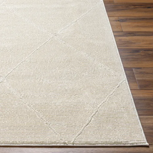 Alder ALD-2300 1'11" x 3'9" Machine Woven Rug