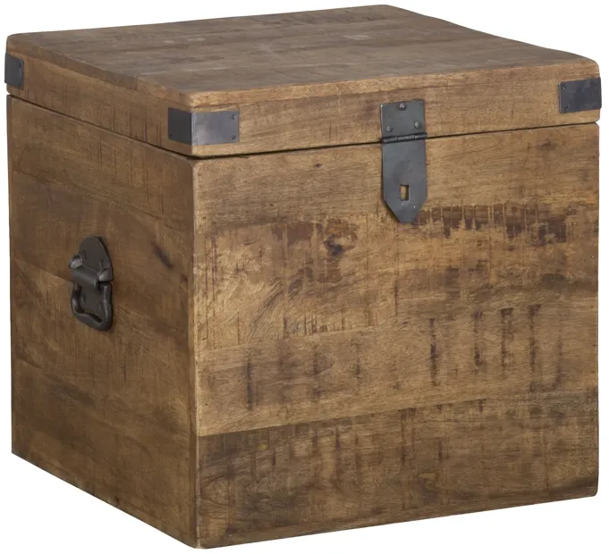Livingston 18 Inch Square Trunk By Kosas Home