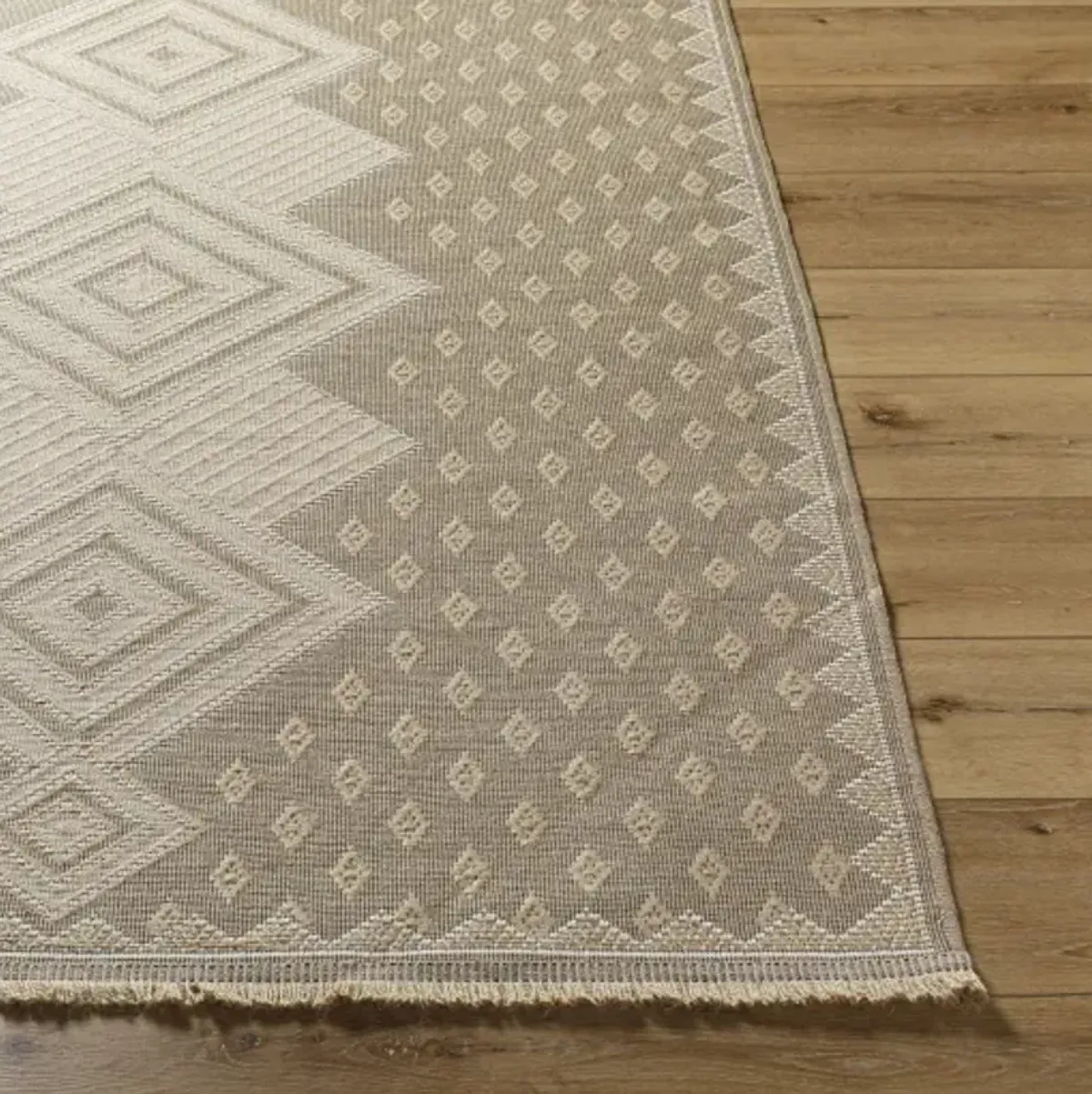 Mystery MYS-2305 27" x 45" Machine Woven Rug