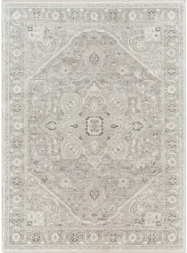 Allegro 5'3" x 7' Rug