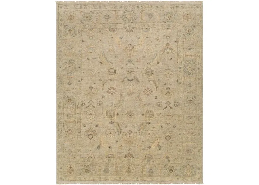 Biscayne BSY-2317 8' x 10' Handmade Rug