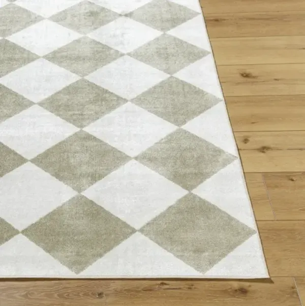 Lillian LLL-2374 2'7" x 7'3" Machine Woven Rug