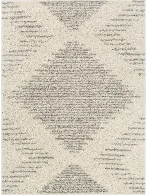 Taza shag 7'10" x 10' Rug