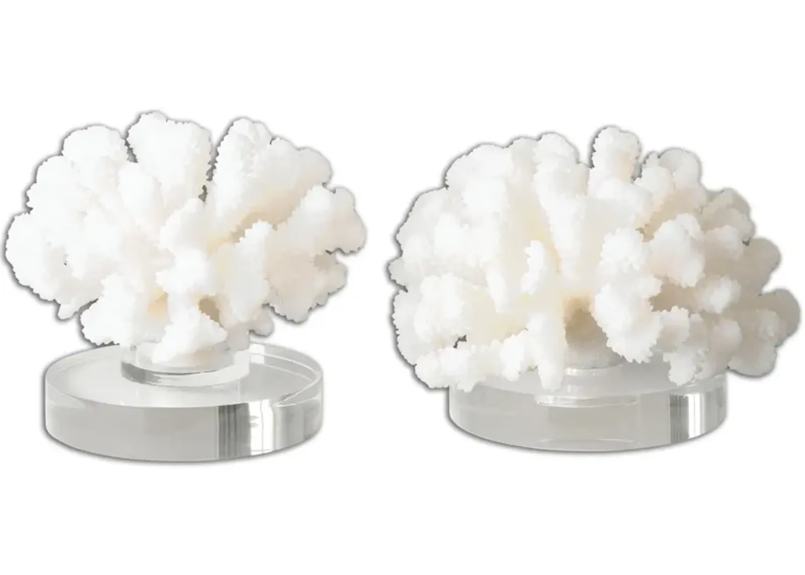 Hard Coral Sculptures - Set of 2