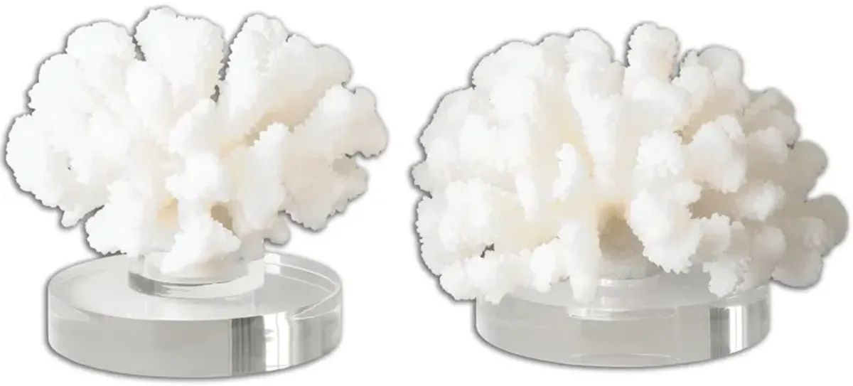 Hard Coral Sculptures - Set of 2