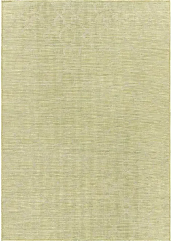 Pasadena 5'1" x 7' Rug