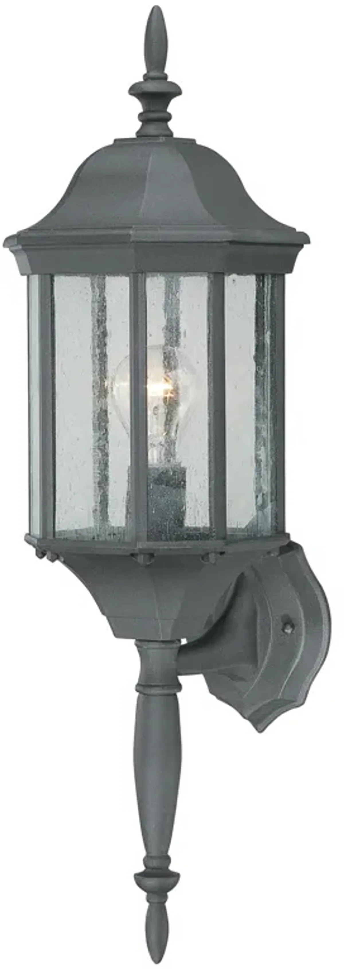 Hawthorne 26" High 1-Light Outdoor Sconce - Black