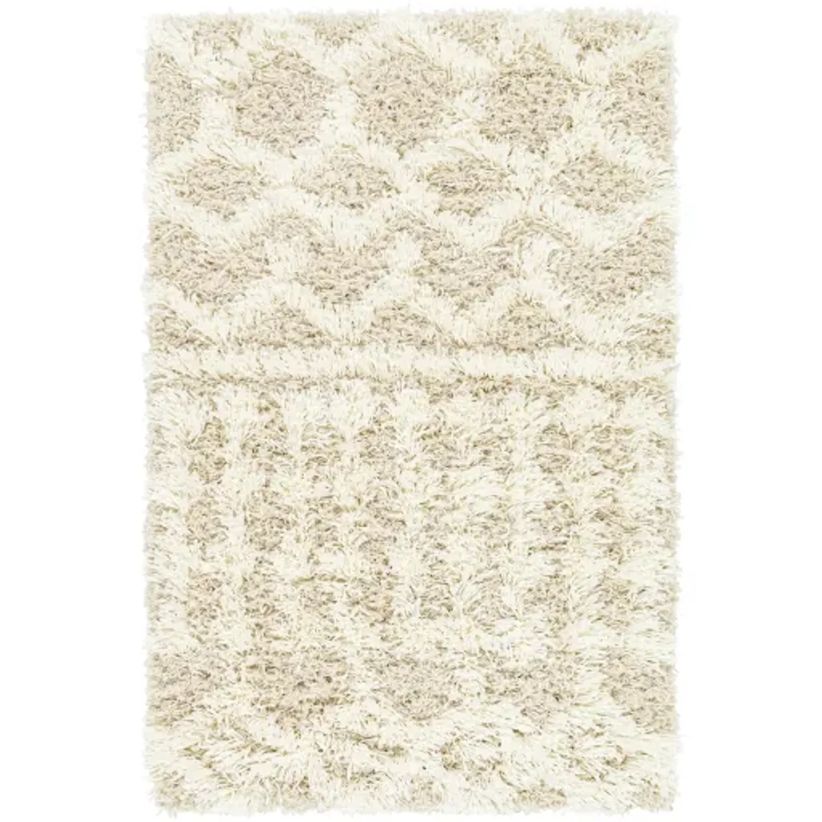 Urban Shag 8'10" x 12' Rug