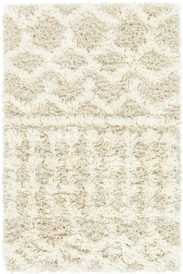 Urban Shag 8'10" x 12' Rug