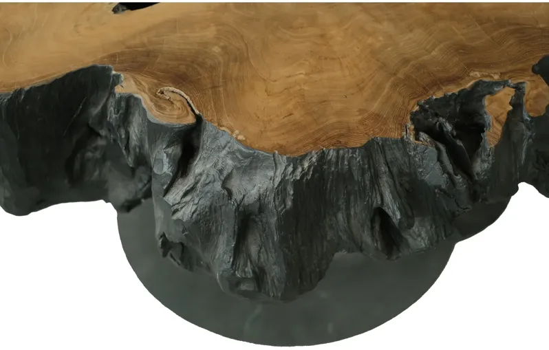 Lenna KD 31.5" Recycled Teak Root End/ Coffee Table, Natural/Black