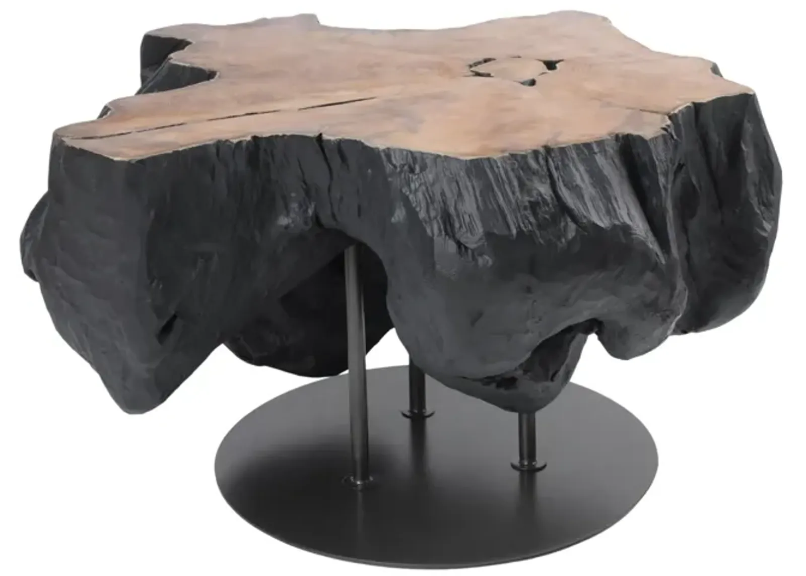 Lenna KD 31.5" Recycled Teak Root End/ Coffee Table, Natural/Black