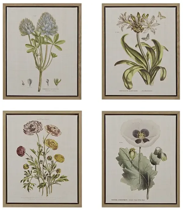 Martha Stewart Herbal Botany Green 4-piece Botanical Illustration Framed Canvas Wall Art Set