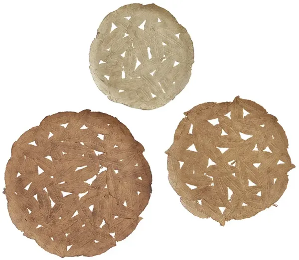 Rossi Spice Textured Feather Wall Decor - Set of 3