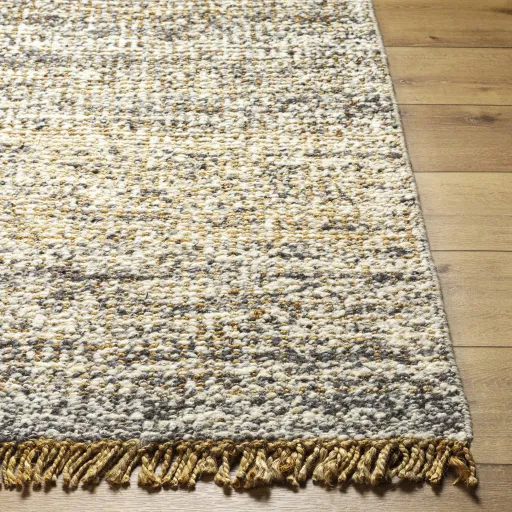 Aylin AYI-2302 9' x 12' Hand Made Rug